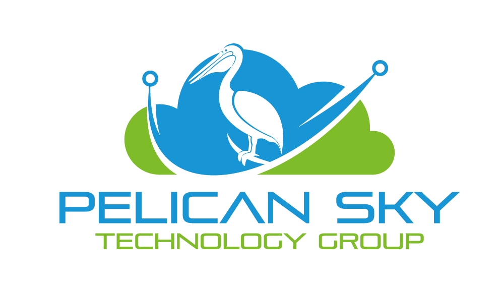 pelican sky technology group logo v1 01